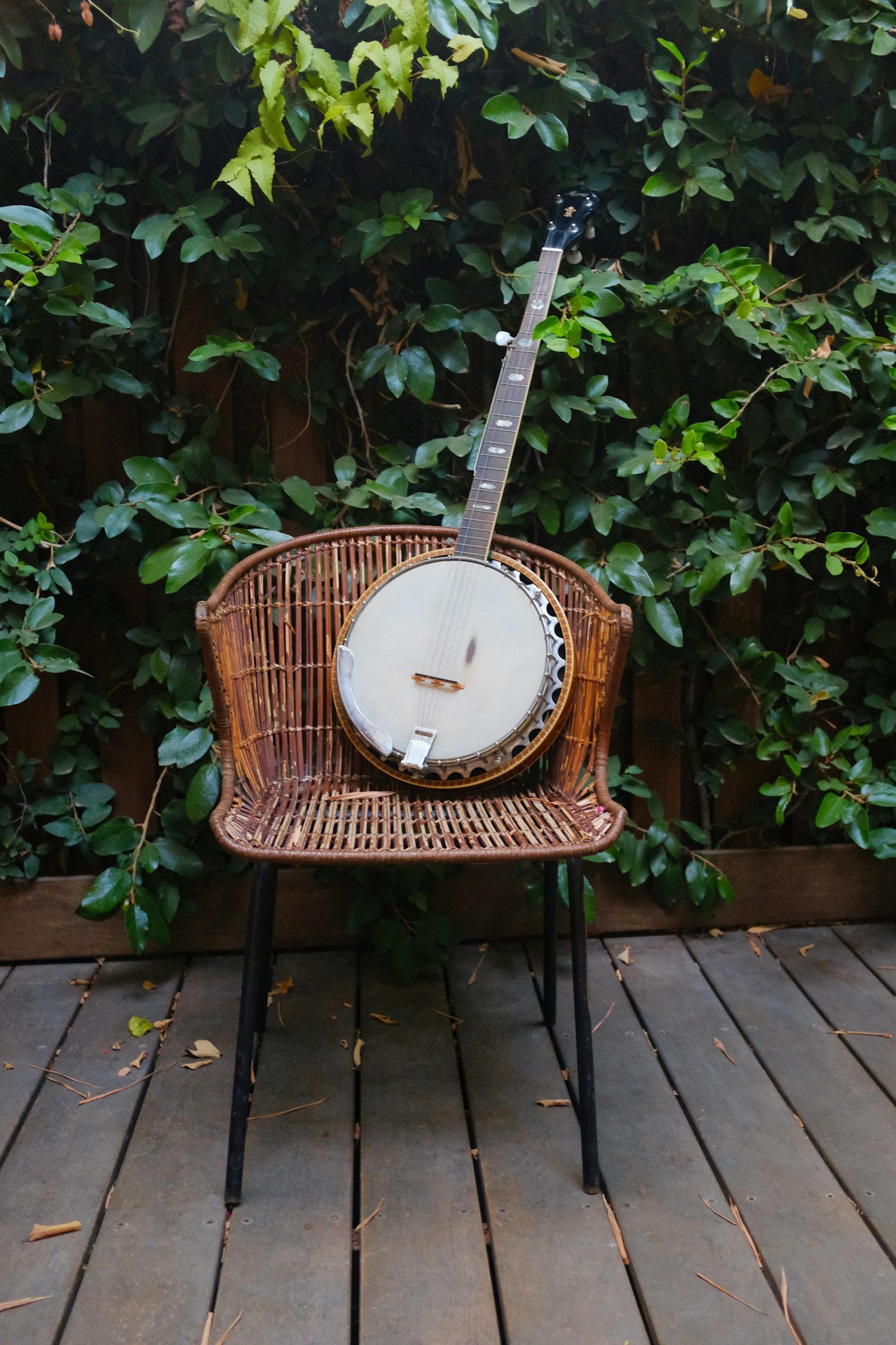 5-String Banjo